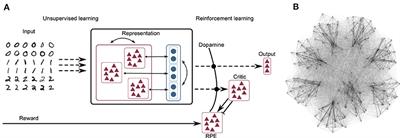 Unsupervised Learning and Clustered Connectivity Enhance Reinforcement Learning in Spiking Neural Networks